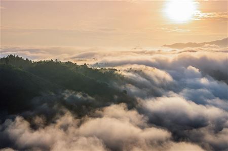 Miền núi Quảng Trị trong sương sớm 🌄